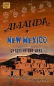 Book cover of Amanda in New Mexico