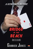 Book cover of Bridge at the Beach
