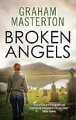 Book cover of Broken Angels