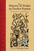 Book cover of The History of Wales in Twelve Poems