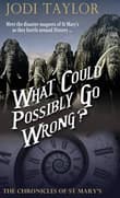 Book cover of What Could Possibly Go Wrong?