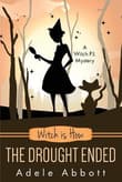 Book cover of Witch is How The Drought Ended