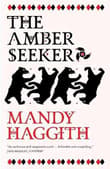 Book cover of The Amber Seeker