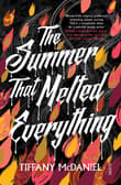 Book cover of The Summer That Melted Everything