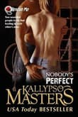 Book cover of Nobody's Perfect
