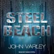 Book cover of Steel Beach