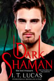 Book cover of Dark Shaman: The Lost Treasure