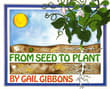 Book cover of From Seed to Plant