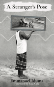 Book cover of A Stranger's Pose