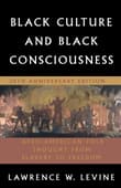 Book cover of Black Culture and Black Consciousness: Afro-American Folk Thought from Slavery to Freedom