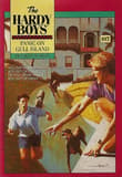 Book cover of Panic on Gull Island