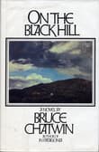 Book cover of On the Black Hill