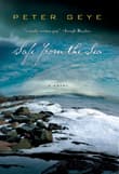 Book cover of Safe from the Sea