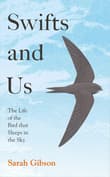 Book cover of Swifts and Us: The Life of the Bird that Sleeps in the Sky