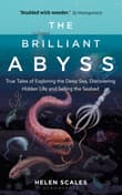 Book cover of The Brilliant Abyss: True Tales of Exploring the Deep Sea, Discovering Hidden Life and Selling the Seabed