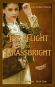 Book cover of The Flight to Brassbright
