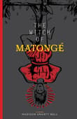 Book cover of The Witch of Matonge