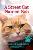 Book cover of A Street Cat Named Bob