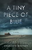 Book cover of A Tiny Piece of Blue