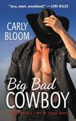 Book cover of Big Bad Cowboy
