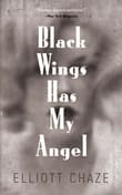 Book cover of Black Wings Has My Angel