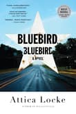 Book cover of Bluebird, Bluebird