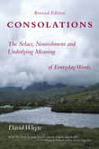 Book cover of Consolations: The Solace, Nourishment and Underlying Meaning of Everyday Words