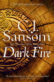 Book cover of Dark Fire