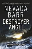 Book cover of Destroyer Angel