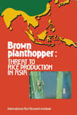 Book cover of Brown Planthopper: Threat to Rice Production in Asia