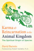Book cover of Karma and Reincarnation in the Animal Kingdom: The Spiritual Origin of Species