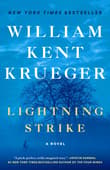 Book cover of Lightning Strike