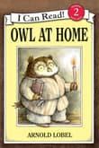 Book cover of Owl at Home