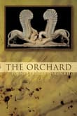 Book cover of The Orchard