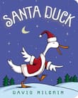 Book cover of Santa Duck