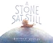Book cover of A Stone Sat Still