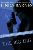Book cover of The Big Dig