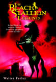 Book cover of The Black Stallion Legend