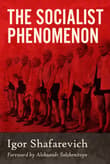Book cover of The Socialist Phenomenon