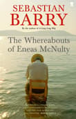 Book cover of The Whereabouts of Eneas Mcnulty