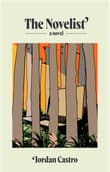 Book cover of The Novelist