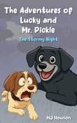 Book cover of The Stormy Night