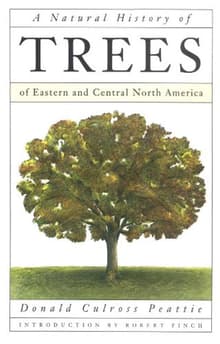 Book cover of A Natural History of Trees of Eastern and Central North America