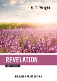 Book cover of Revelation for Everyone