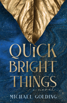 Book cover of Quick Bright Things