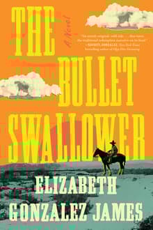 Book cover of The Bullet Swallower