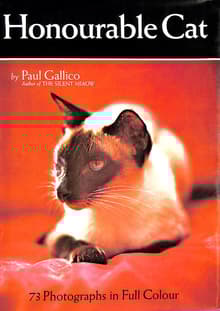 Book cover of Honourable Cat