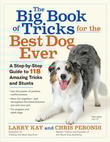 Book cover of The Big Book of Tricks for the Best Dog Ever: A Step-By-Step Guide to 118 Amazing Tricks and Stunts