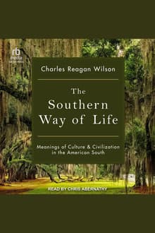 Book cover of The Southern Way of Life: Meanings of Culture and Civilization in the American South
