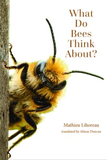 Book cover of What Do Bees Think About?